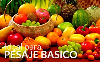 balanza solo peso